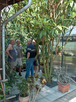  Kakteenhock bei Meier 2010